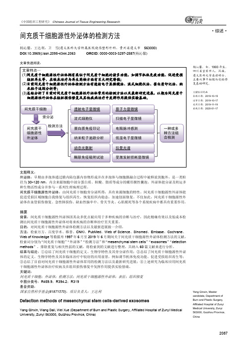 间充质干细胞源性外泌体的检测方法