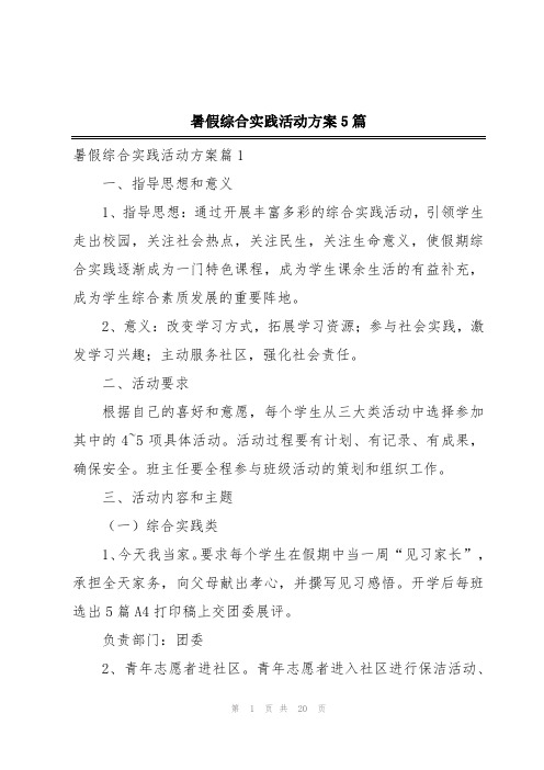 暑假综合实践活动方案5篇