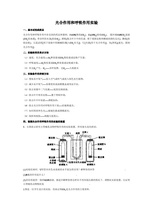 光合作用和呼吸作用实验