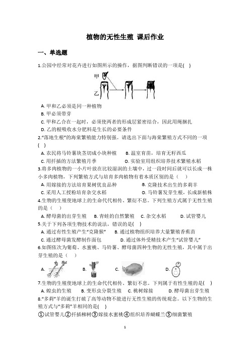 课后作业 植物的无性生殖