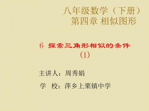八年级数学下册第四章相似图形