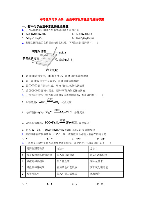 中考化学专项训练：生活中常见的盐练习题附答案