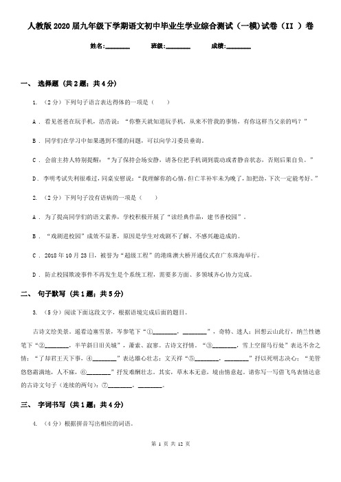 人教版2020届九年级下学期语文初中毕业生学业综合测试(一模)试卷(II )卷