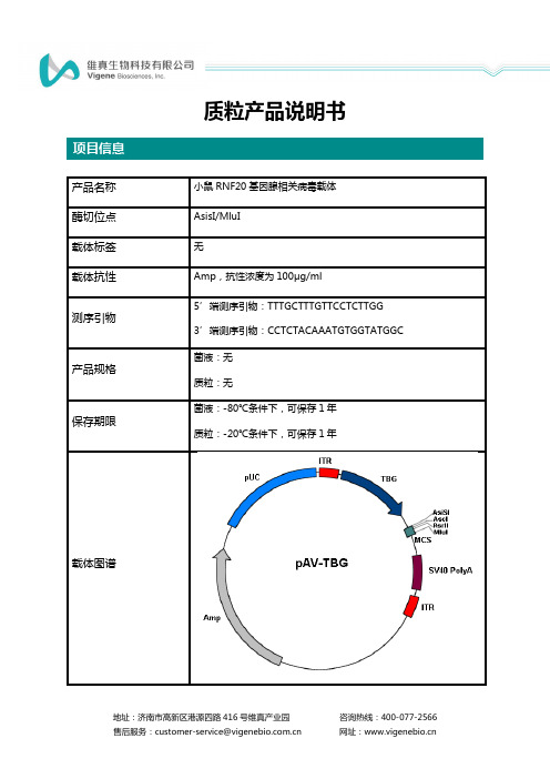 维真生物小鼠 RNF20 基因腺相关病毒载体质粒产品说明书