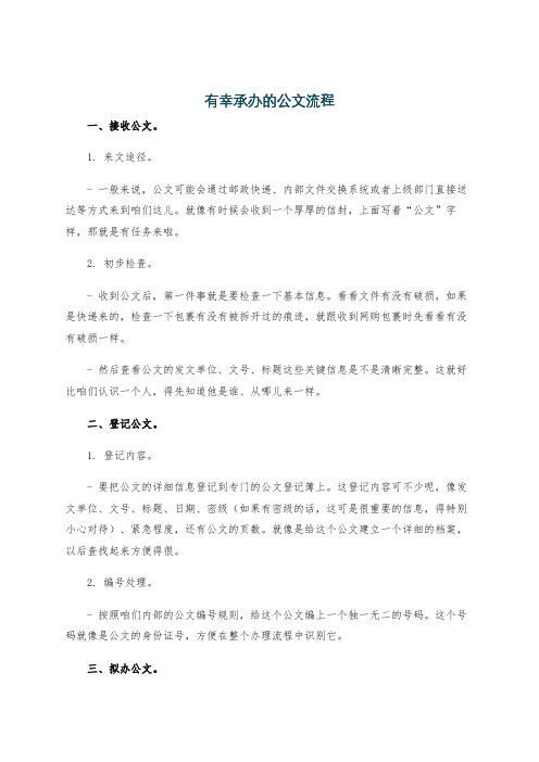 有幸承办的公文流程