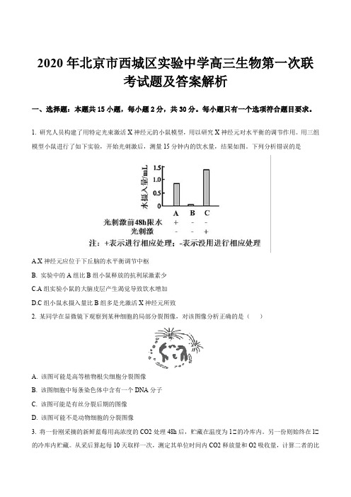 2020年北京市西城区实验中学高三生物第一次联考试题及答案解析