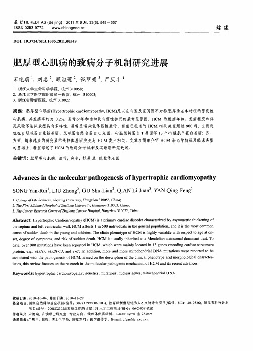 肥厚型心肌病的致病分子机制研究进展