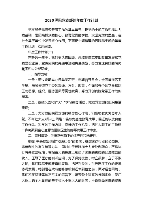 2020医院党支部的年度工作计划