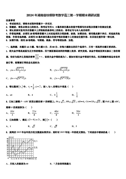 2024年湖南省校级联考数学高三第一学期期末调研试题含解析