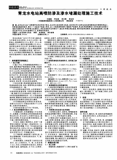 青龙水电站高喷防渗及渗水堵漏处理施工技术