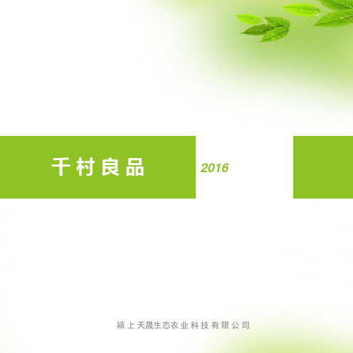 ppt放映版本 (1)
