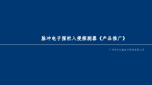 电子围栏入侵探测器《前端探测器》