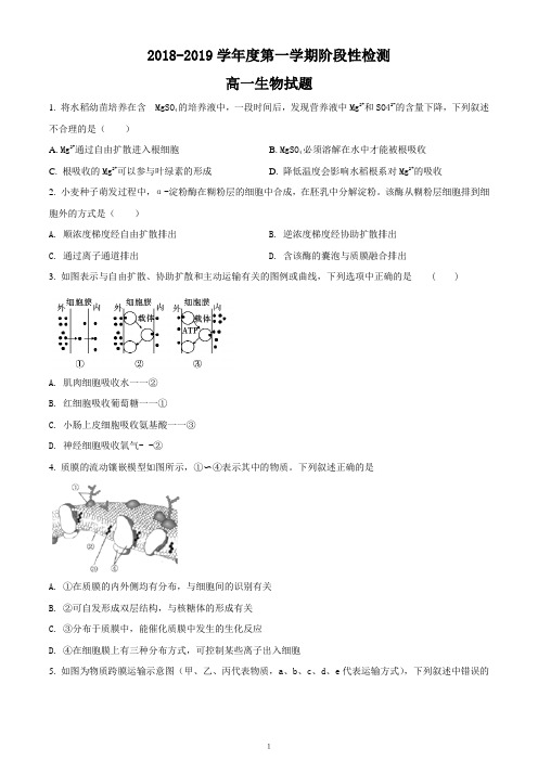 山东省济南外国语学校2018-2019学年高一上学期第二次(12月)月考生物试题(考试卷)