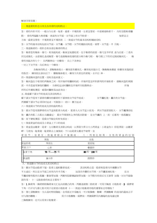 解剖学简答题word精品