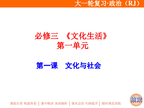 高中课件:文化与社会