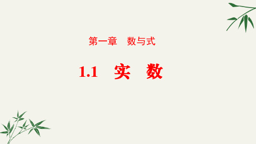 2020年人教版九年级数学中考总复习课件：第1章 数与式 1.1实数(共37张PPT)