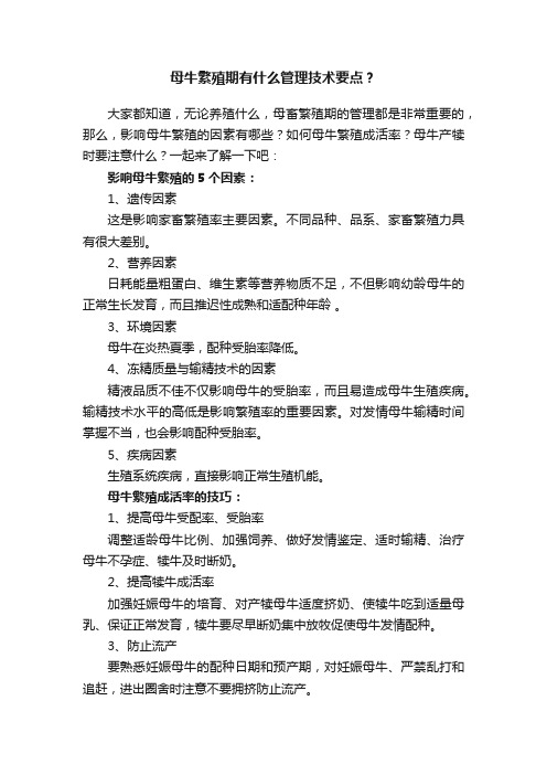 母牛繁殖期有什么管理技术要点？