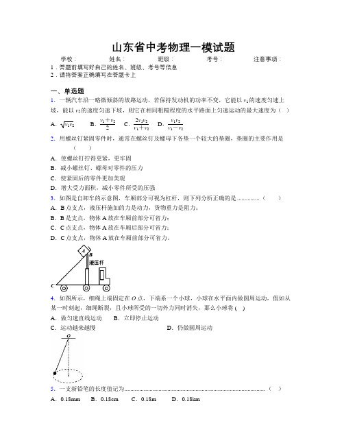 山东省中考物理一模试题附解析