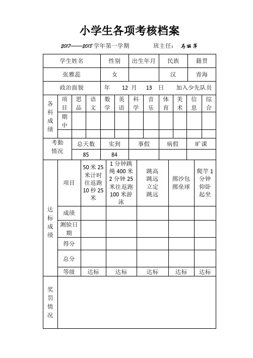 小学生各项考核档案2017年