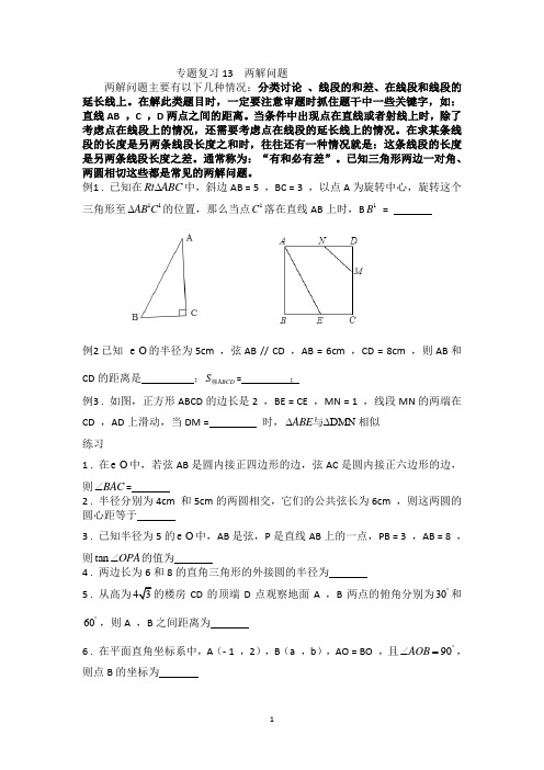 专题复习13  两解问题