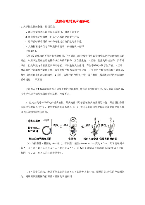 【精选】广东省天河区高考生物一轮复习专项检测试题96遗传信息转录和翻译