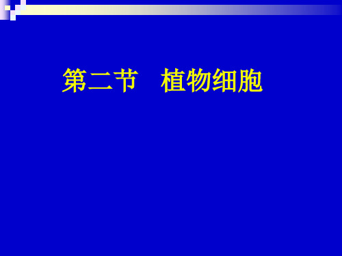 人教版初中生物七上第二单元第一章第二节 植物细胞 课件  (共17张PPT)