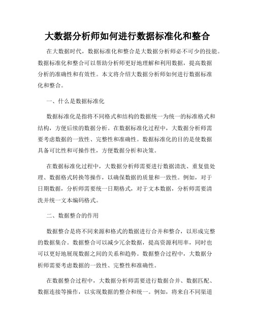 大数据分析师如何进行数据标准化和整合