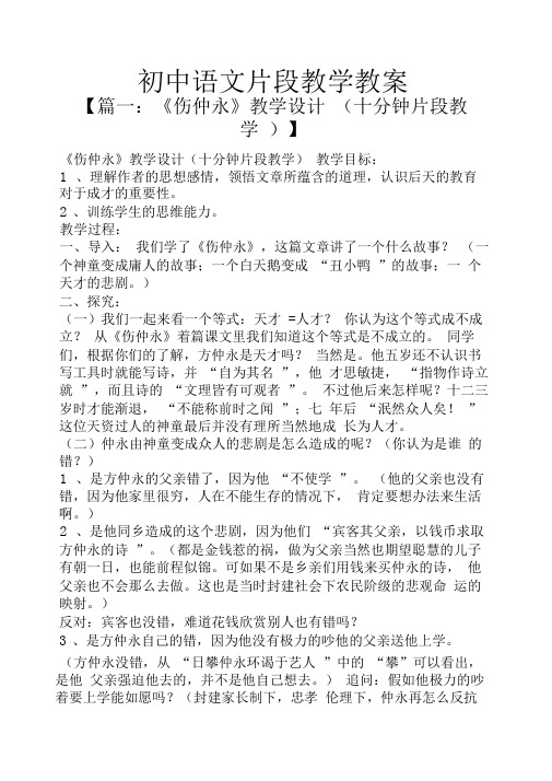 初中语文片段教学教案