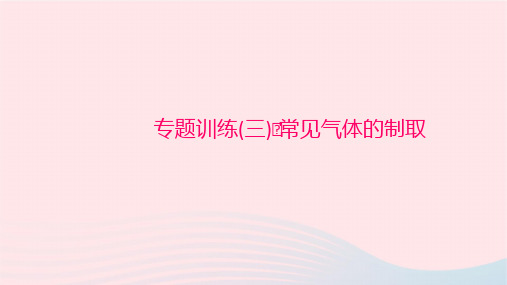 化学九年级上册专题训练(三)常见气体的制取作业课件 新人教版