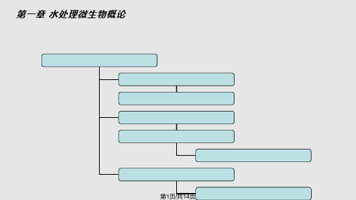 水处理微生物PPT课件