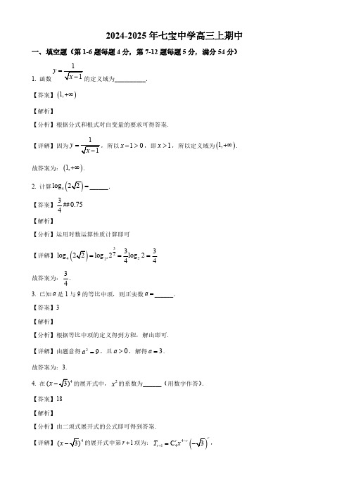 上海市七宝中学2024-2025学年高三上学期期中考试数学试题(解析)