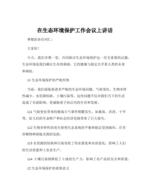 在生态环境保护工作会议上讲话