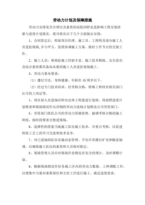 劳动力计划及保障措施