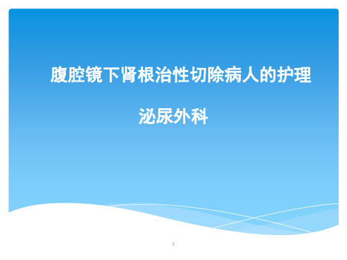 肾切除病人的护理PPT演示幻灯片