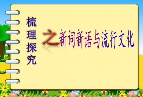 新词新语与流行文化ppt解析6 
