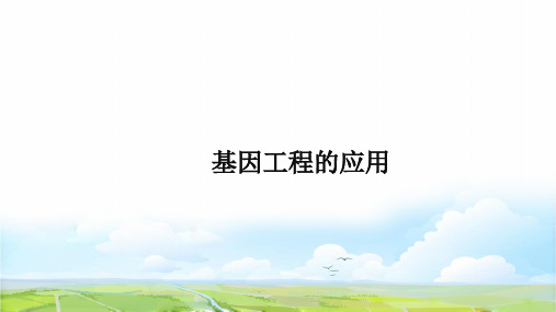 高中生物选修3精品课件13：1.3 基因工程的应用