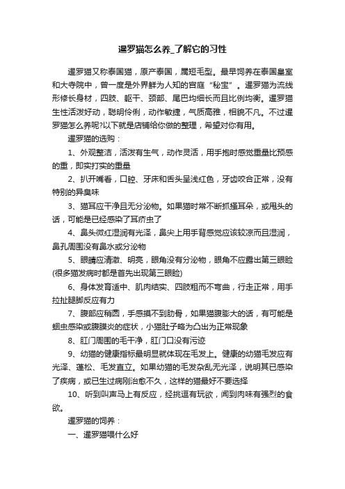 暹罗猫怎么养_了解它的习性