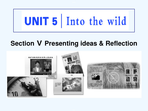 《Intothewild》SectionVPPT(完美)课件