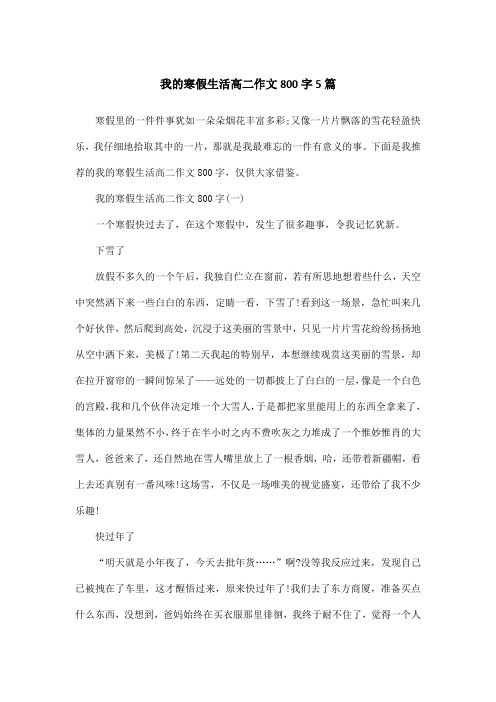 我的寒假生活高二作文800字5篇