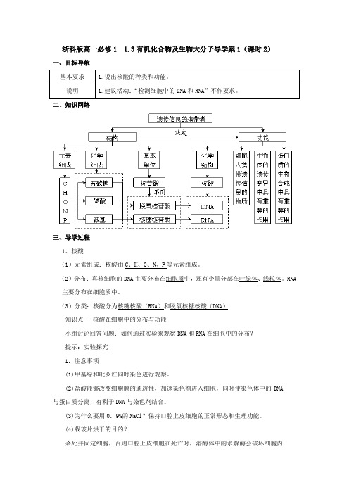 浙科版高一必修1 1.3有机化合物及生物大分子导学案1(课时2)