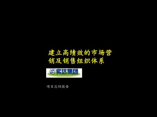 麦肯锡--实达的案例分析 