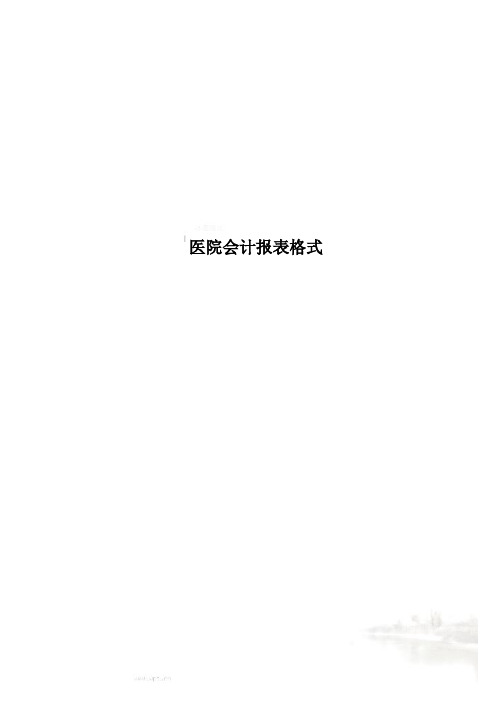 医院会计报表格式