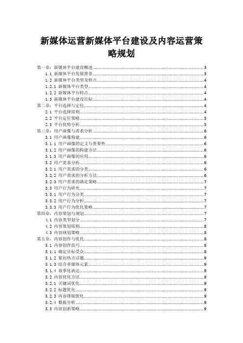 新媒体运营新媒体平台建设及内容运营策略规划