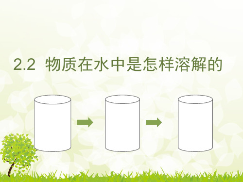 新版四年级上册科学-2.2物质在水中是怎样溶解的 ｜教科版 (共14张PPT)