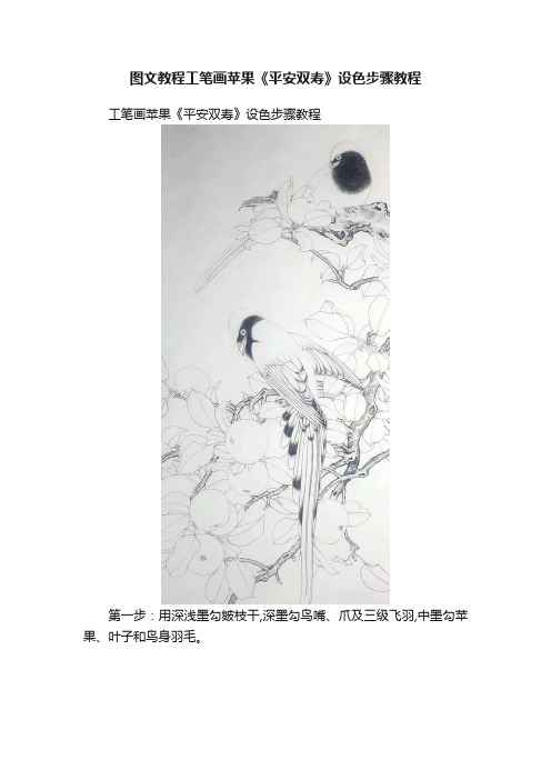 图文教程工笔画苹果《平安双寿》设色步骤教程