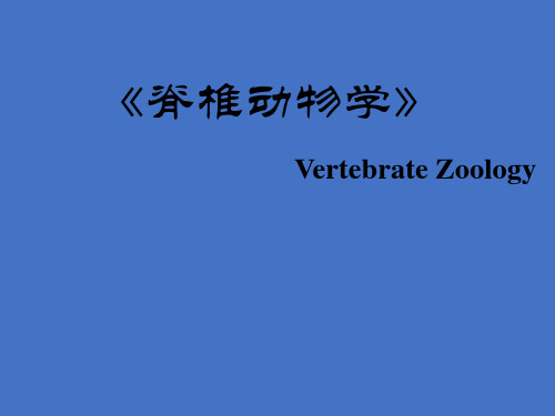 15.脊椎动物学-15.脊索动物门5.1