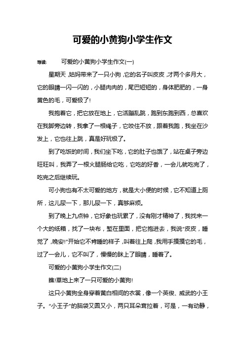 可爱的小黄狗小学生作文