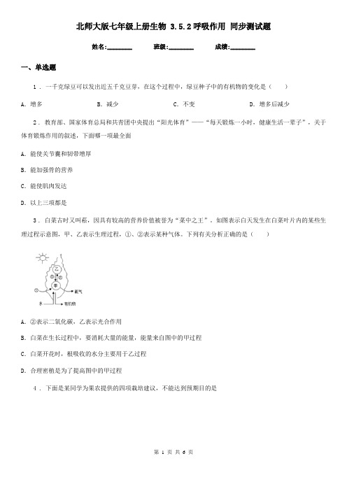 北师大版七年级上册生物 3.5.2呼吸作用 同步测试题