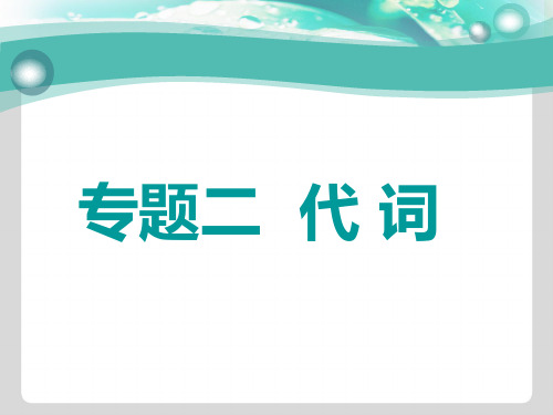 2019版高考英语专题化语法贯通市级重点高中版课件专题二 代 词