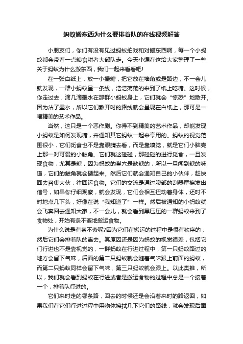 蚂蚁搬东西为什么要排着队的在线视频解答